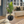 Large Artificial Bird of Paradise, 47
