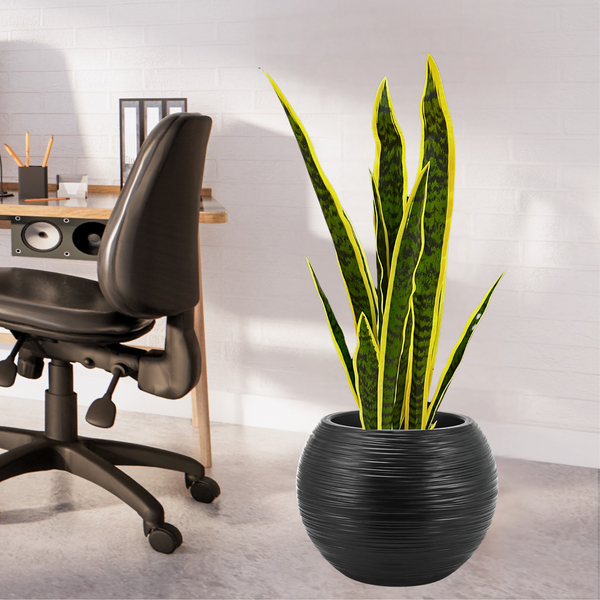 Large Artificial Snake Plant, Realistic Fake 30" Faux Plant with Cement Base, Indoor Outdoor Home Decor, Patio, Front Porch, Living Room Ornament