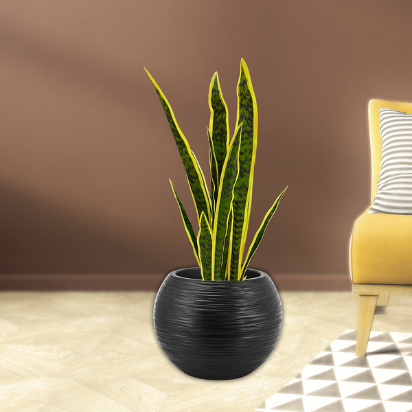 Large Artificial Snake Plant, Realistic Fake 30" Faux Plant with Cement Base, Indoor Outdoor Home Decor, Patio, Front Porch, Living Room Ornament