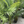 Artificial Areca Palm Tree with Black Sturdy Base, 5 ft Nearly Natural Look & Touch, Lifelike Leaves, Home Office Indoor Decor-Sona Casa