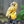 Magical White Owl Solar Statue With Black Stick - Outdoor Garden Decor & Bird Deterrent by Sona Casa