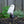 Magical White Owl Solar Statue With Black Stick - Outdoor Garden Decor & Bird Deterrent by Sona Casa