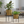 Modern Gold Planters with Black Stand Set, Electroplated Metal for Fresh or Faux Plants, Living Room Patio Decor Gifts-Sona Casa