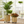 Gold Metal Foil Planters Set with Wheels and Drain Plug, Indoor Pot for Fresh or Faux Plants Home Decor Gift-Sona Casa