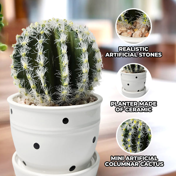 Artificial Cactus Plant in White Ceramic Pot, 5" Mini Barrel Cactus Decor by Sona Casa