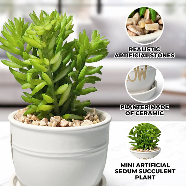 Artificial Sedum Succulent Plant in White Ceramic Planter 5" Tabletop Decor by Sona Casa