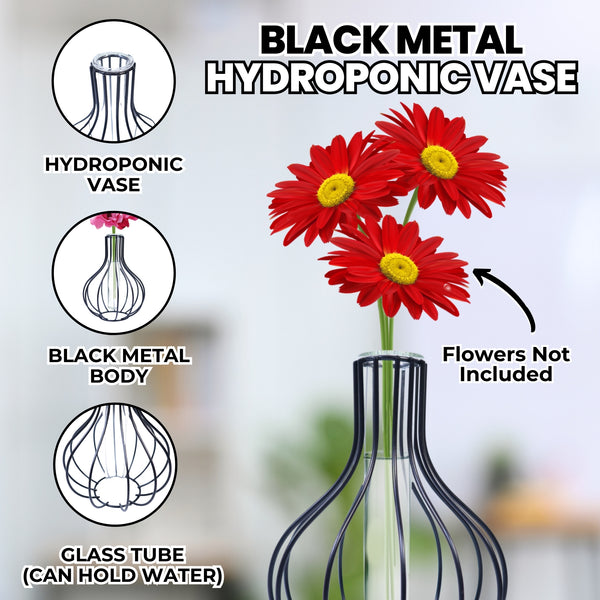 Hydroponic Pot, Glass Terrarium Propagation Vase, Black Metal Frame, Coffee Table Centerpiece 7 inch 17 cm