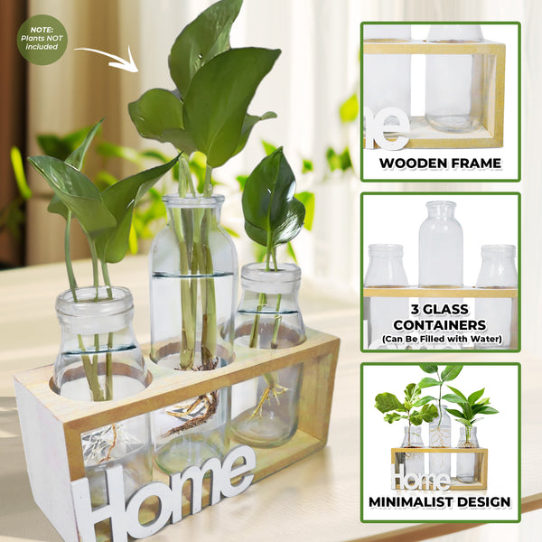 Hydroponic Glass Vases Set 8" Glass Propagation Pot, Wooden Frame