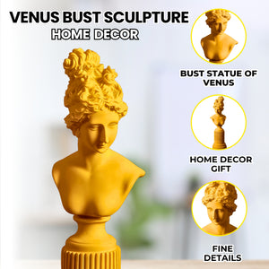 Female Bust Sculpture, Classical Roman Sculpture of Venus, Home Decor Gifts 14in, 36cm by Accent Collection