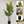 Large Artificial Bird of Paradise, 47