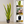 Large Artificial Snake Plant, Realistic Fake 30