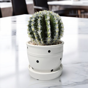 Artificial Cactus Plant in White Ceramic Pot, 5" Mini Barrel Cactus Decor by Sona Casa