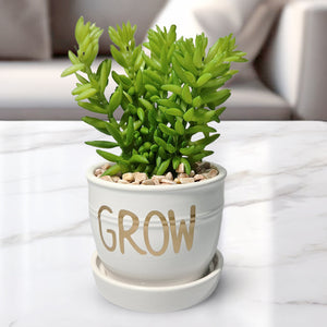 Artificial Sedum Succulent Plant in White Ceramic Planter 5" Tabletop Decor by Sona Casa