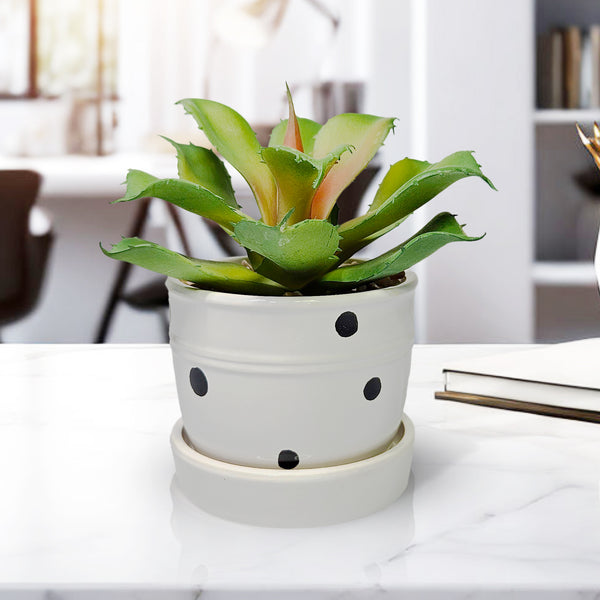 Potted Agave, 5" Artificial Succulent in White Ceramic Planter Home Decor