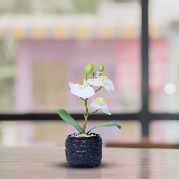 Handmade Small White Artificial Flowers, Fake Orchids with Black Cement Pot 9in or 23cm, Housewarming Gift by Accent Collection