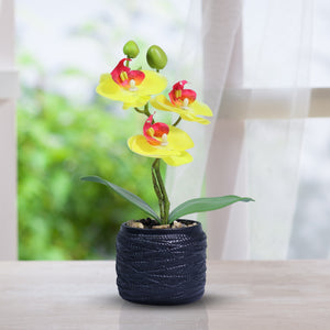 Small Yellow Artificial Orchid with Black Cement Plant Pot, Rustic Table Decor, Handmade 9in or 23cm by Accent Collection