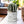 Artificial Cactus Plant in White Ceramic Pot, 5