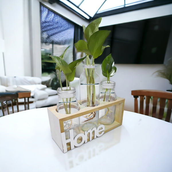 Hydroponic Glass Vases Set 8" Glass Propagation Pot, Wooden Frame