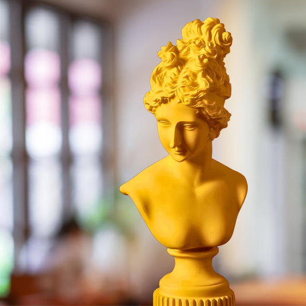 Female Bust Sculpture, Classical Roman Sculpture of Venus, Home Decor Gifts 14in, 36cm by Accent Collection