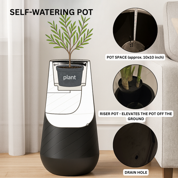 Contemporary Decorative Self Watering Pot, Modern Tall Black Indoor Planter, 33 in Home, Office, Garden Decoration, Gift-Sona Casa