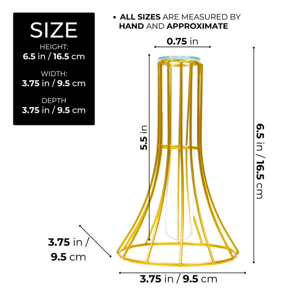 Hydroponic Vase, Gold Metal, Glass Propagation Terrarium Pot 7" Tabletop