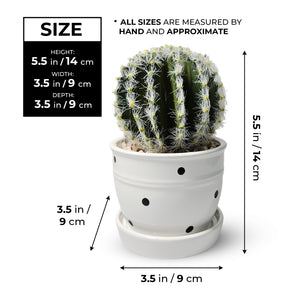 Artificial Cactus Plant in White Ceramic Pot, 5" Mini Barrel Cactus Decor by Sona Casa