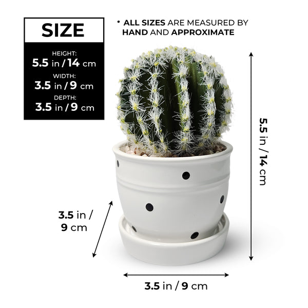Artificial Cactus Plant in White Ceramic Pot, 5" Mini Barrel Cactus Decor by Sona Casa
