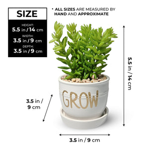 Artificial Sedum Succulent Plant in White Ceramic Planter 5" Tabletop Decor by Sona Casa