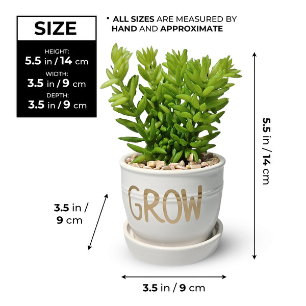 Artificial Sedum Succulent Plant in White Ceramic Planter 5" Tabletop Decor by Sona Casa