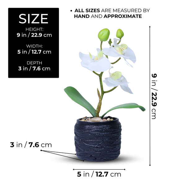 Handmade Small White Artificial Flowers, Fake Orchids with Black Cement Pot 9in or 23cm, Housewarming Gift by Accent Collection