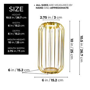 Gold Hydroponic Vase, 11" Modern Pot, Bud, Propagation Tube Planter by Sona Casa