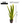 Large Artificial Snake Plant, Realistic Fake 30