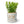 Artificial Sedum Succulent Plant in White Ceramic Planter 5