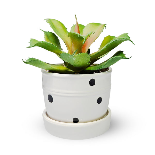 Potted Agave, 5" Artificial Succulent in White Ceramic Planter Home Decor