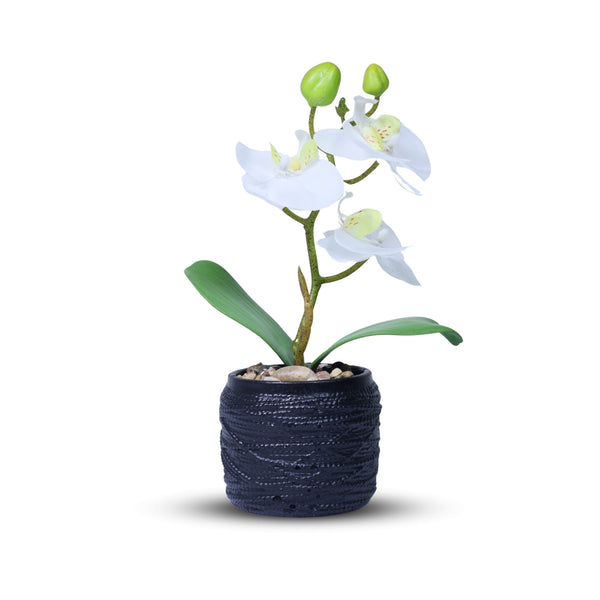 Handmade Small White Artificial Flowers, Fake Orchids with Black Cement Pot 9in or 23cm, Housewarming Gift by Accent Collection