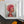 African Woman Wall Art - Textured Oil Painting, Original Hand-Painted Canvas for Living Room & Bedroom Decor, Unique Gift by Sona Casa