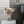 Animal Vase, Face Design, 8