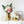 Gold Ceramic Vase for Home Decoration